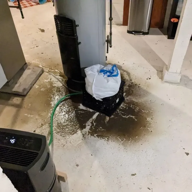 Sewage Backup Cleanup Service in Greater Grand Crossing, IL
